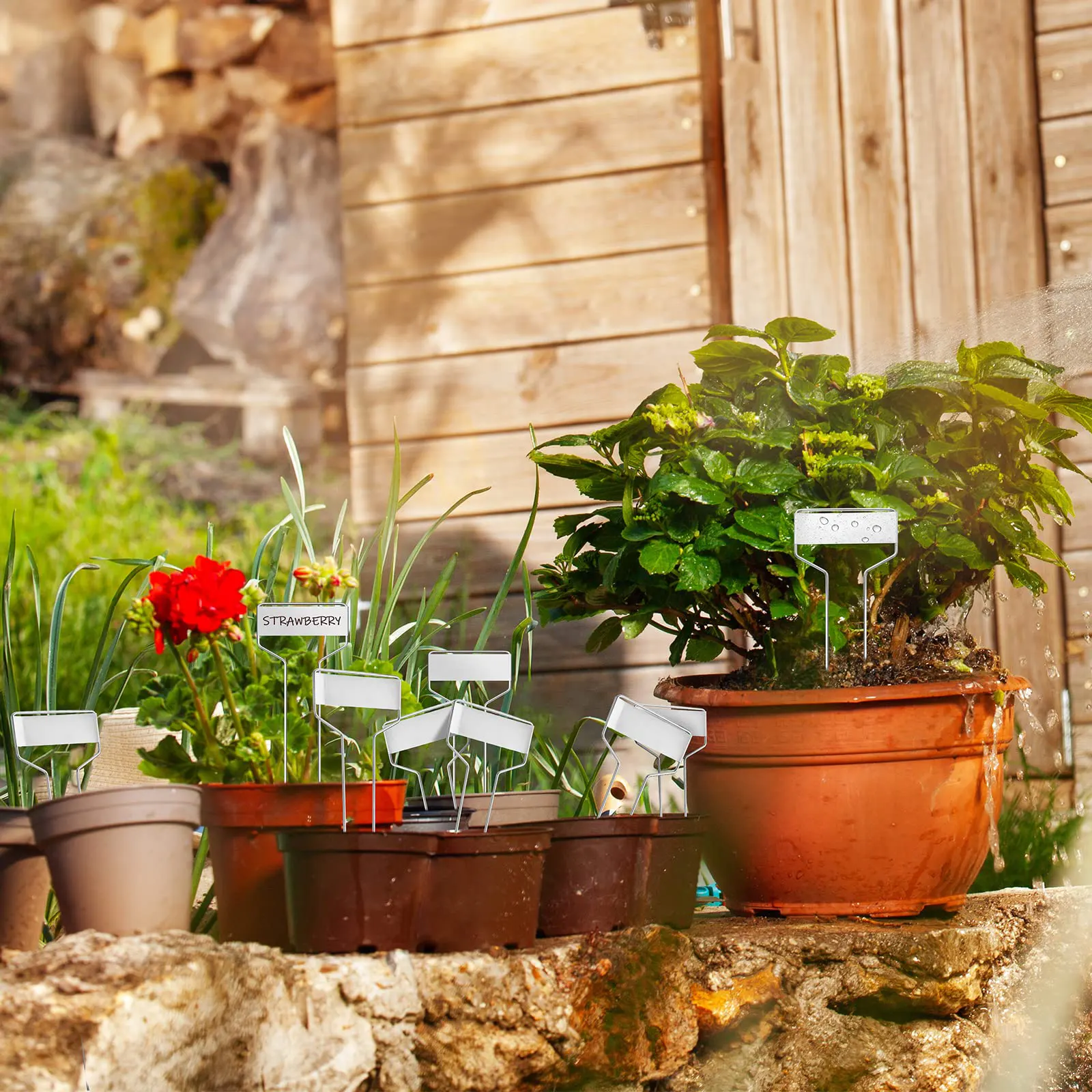 Etichette per Piante da 100 Pezzi, Etichette Etichetta Riutilizzabile Impermeabile per Giardini D'infanzia per Segni di Ortaggi e Fiori(verde