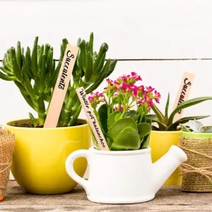 plant labels wooden