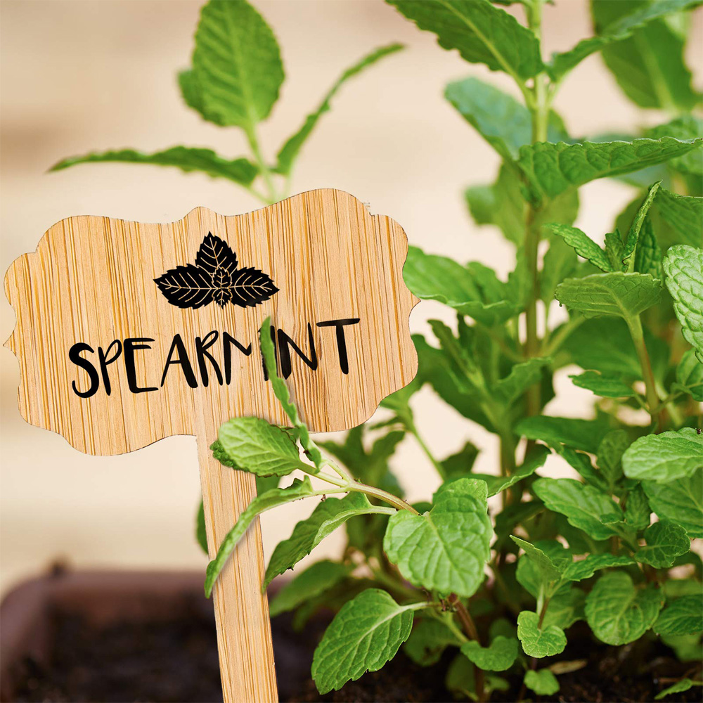 Bamboo Rectangle Plant Labels