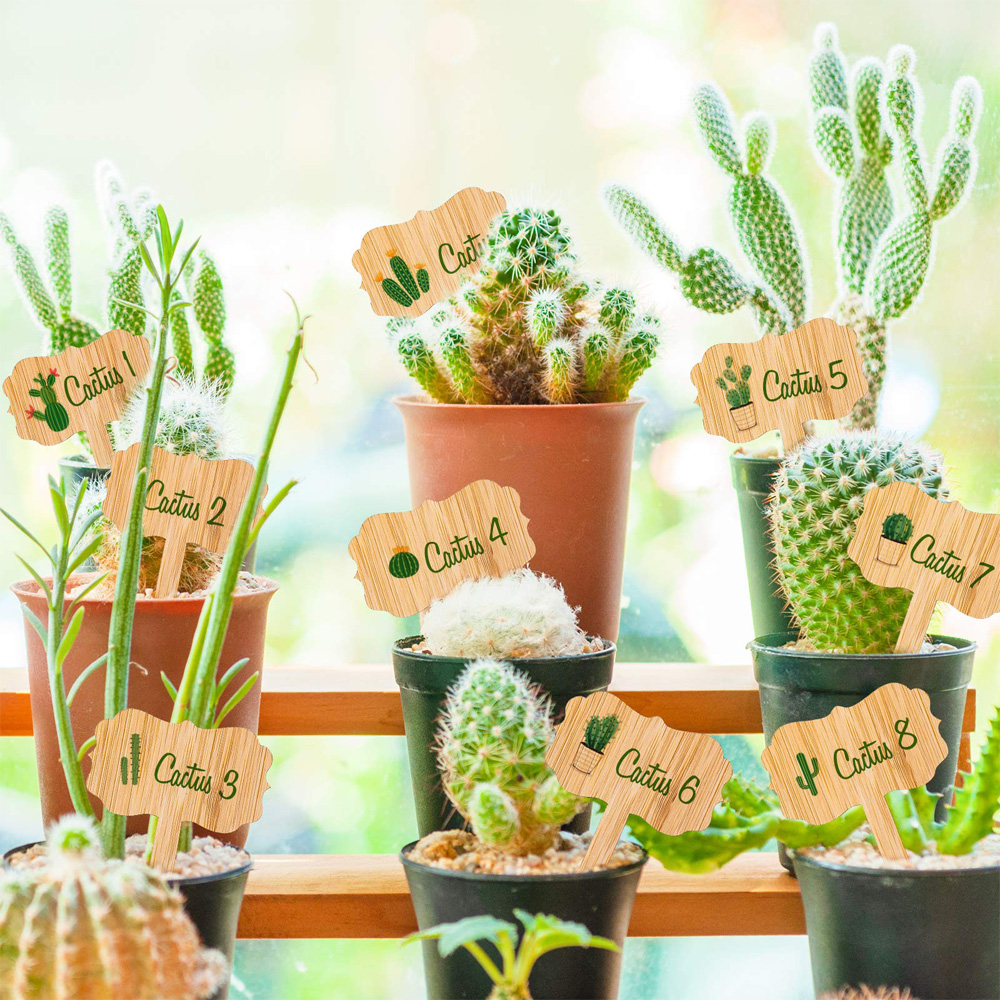 Bamboo Rectangle Plant Labels