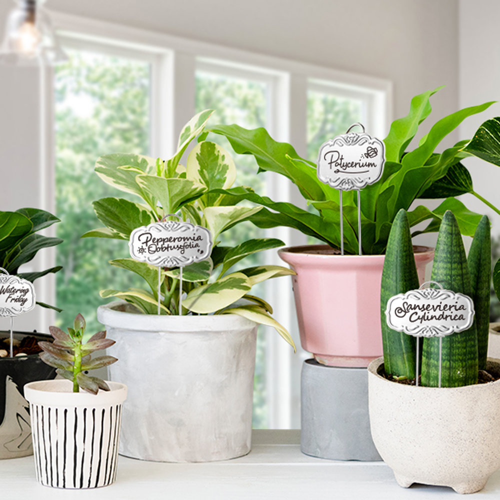 Stainless Steel DIY Waterproof Garden Plant Markers