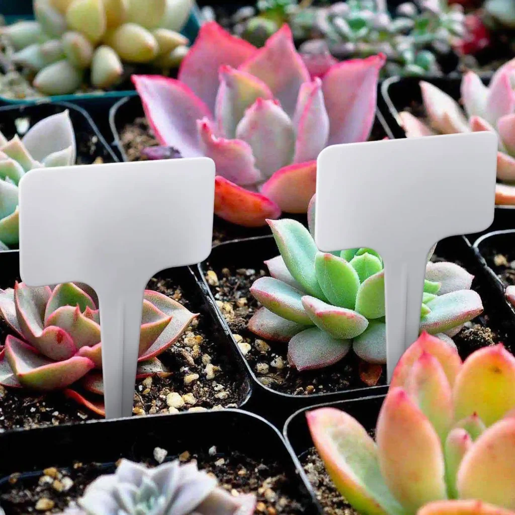 plastic plant lable for pots