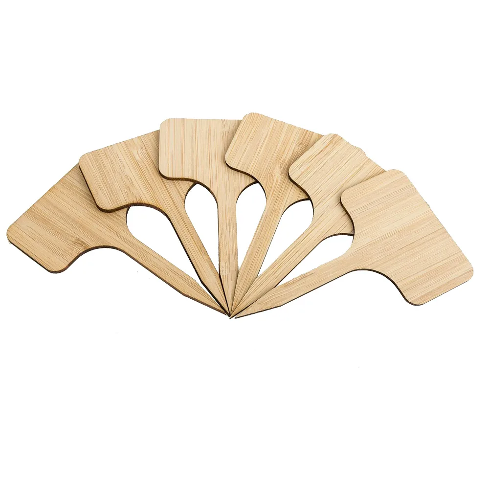 LaBlanc - 10 etichette per piante in ardesia 20X3CM, etichette per